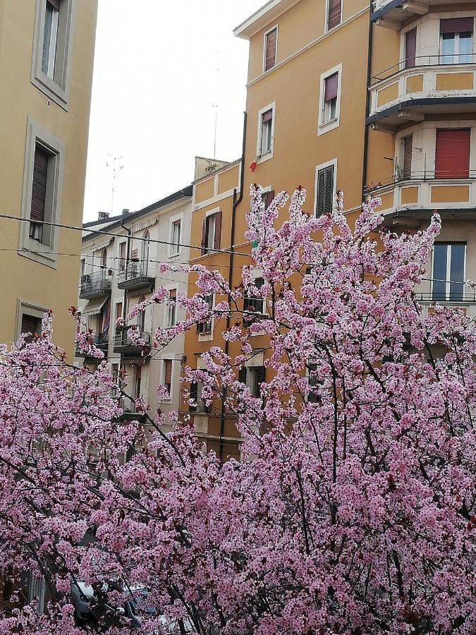 Appartamento: Tranquillita O Divertimento Bolonia Exterior foto